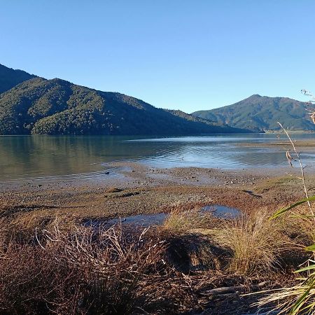 Marlborough Sounds Accommodation 792 Havelock Kültér fotó
